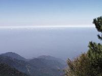 Saturday 1 June 2002 - Mount Wilson east of Los Angeles - Los Angeles is down there somewhere.