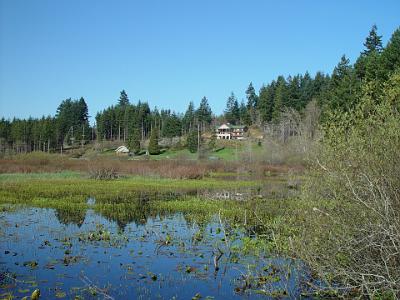 card 5 100 Saturday 2004-04-03 Mount St Helens, Washington Silver Lake is a marsh located about 48 km west of Mount St. Helens. It is home to a nature trail and the Mount...