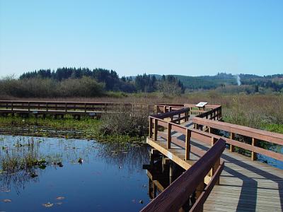 card 5 101 Saturday 2004-04-03 Mount St Helens, Washington A board walk traverses the lake. The lake is 180 acres and was formed by an eruption of Mount St Helens two...