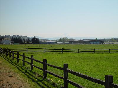 card 5 110 Saturday 2004-04-03 Vancouver, Washington During world war II the hangar was used to house Italian prisoners of war. The museum, Pearson Field and the Fort...