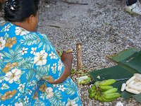 2006-11-10 Samoa Day 2