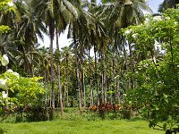 2006-11-13   Samoa Day 5