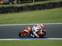 MotoGP warm-up Nicky HAYDEN, USA, Honda 800