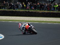 MotoGP warm-up Nicky HAYDEN, Honda. Crashed out.