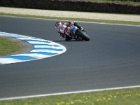 MotoGP warm-up Carlos CHECA, Honda