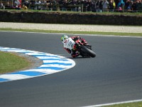 MotoGP warm-up Alex BARROS, Ducati.