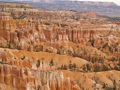 These sediments  became the reddish rocks of the Claron Formation (the whole)  from which the hoodoos (individual columns) are carved and for which the Pink Cliffs (35 miles long) are named.