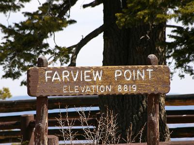 At about this altitude, Ponderosa Pines start to give way to Douglas Fir and White Fir.