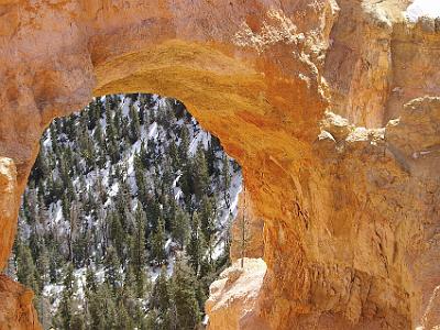 True natural bridges are formed by a stream. This is more correctly an arch because it was formed by the action of rain and frost erosion.