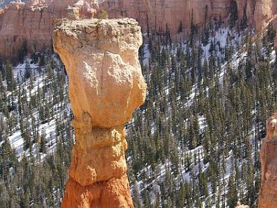 This hoodoo has small trees growing on its top.