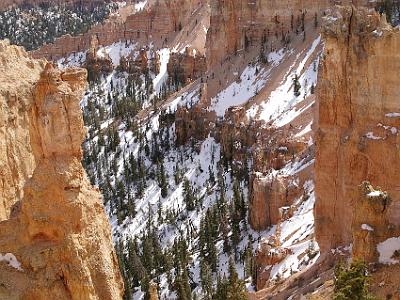 Black Birch Canyon.