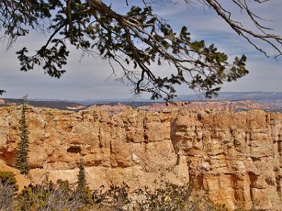 Black Birch Canyon