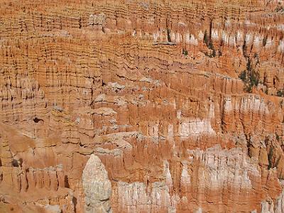 Inspiration Point looks into the Bryce Amphitheatre.