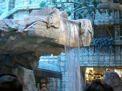 The lion enclosure in MGM.