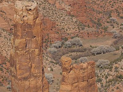 Saturday  2007-03-10  Canyon de Chelly, Arizona  The park's distinctive geologic feature is Spider Rock, a sandstone spire that rises 800 feet from the canyon floor at the junction of Canyon de Chelly and Monument Canyon