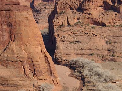 Saturday  2007-03-10  Canyon de Chelly, Arizona   Fossil plants found in the mud, silt, and sandstone indicate that the climate was hot and moist.