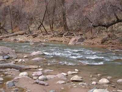 This is the Virgin River responsible for cutting the canyon