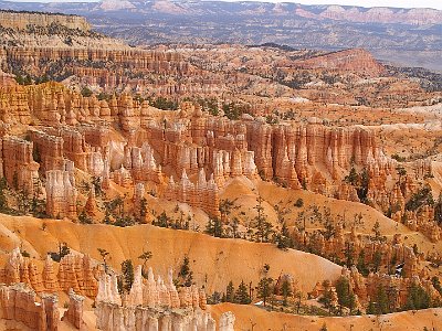 These sediments  became the reddish rocks of the Claron Formation (the whole)  from which the hoodoos (individual columns) are carved and for which the Pink Cliffs (35 miles long) are named.