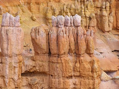 The primary weathering force at Bryce Canyon is frost wedging. Structures in the canyon experience over 200 freeze/thaw cycles each year. In the winter, melting snow seeps into the cracks and freezes at night. When water freezes it expands by almost 10%, bit by bit prying open cracks, making them ever wider.