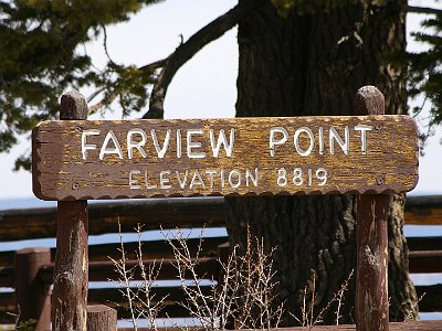 At about this altitude, Ponderosa Pines start to give way to Douglas Fir and White Fir.