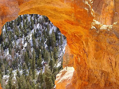 True natural bridges are formed by a stream. This is more correctly an arch because it was formed by the action of rain and frost erosion.