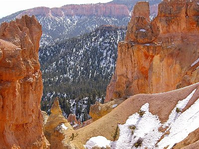 Amazing to think that we are at 8600 feet and all of this was at the bottom of the ocean 80 million years ago. The North American continent was still moving into its current location at that time until roughly 20 million years ago.