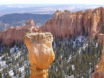 This hoodoo is called  The Hunter  and it has small trees growing on its top. (Viewed from Agua Canyon)