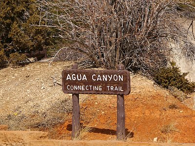 It's about 1 km back to Agua Canyon and the trail follows the rim.