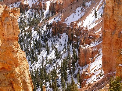 Black Birch Canyon.