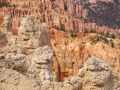 Rainbow Point is the highest spot in Bryce and the end of the road.