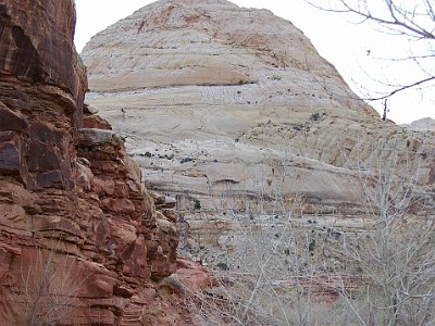 The domes of Capitol Reef are sandstone and whiteish in colour.  Sandstone wears differently to the other rocks and tends to round off at the top hence the capitol-shaped domes.