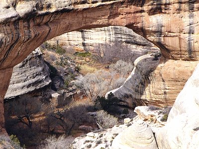 Natural Bridges