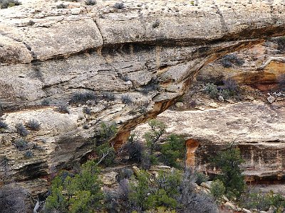 However, the same forces that create arches are still at work and they continue to eat away at the bridge. It will fall down shortly (geologically speaking).