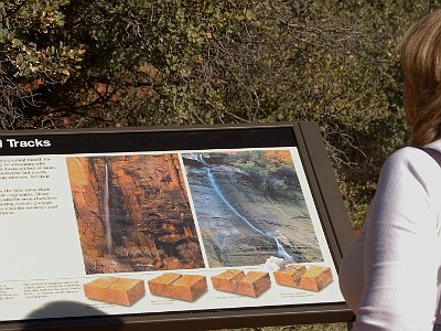 A graphic explains,  "Waterfalls in Zion plunge 1000 ft or more, mostly ephemeral, leave their tracks, desert minerals leave black streaks"   and  "the Virgin River's main stream cut faster than tributaries leaving hanging valleys; waterfalls are from the river's former levels".