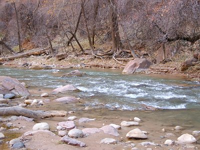 This is the Virgin River, the waterway responsible for cutting the canyon.