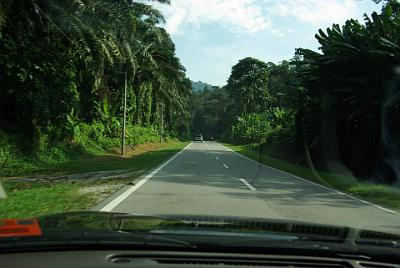 THURSDAY 16 OCTOBER 2008  Once off the motorway, we headed into the Malaysian jungle. There were probably tigers living here not all that long ago.