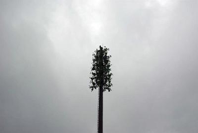 THURSDAY 16 OCTOBER 2008   At the top of the hill was this cell tower. I thought the plants might have been real but it turned out that they were plastic, designed to discourage birds from nesting in the electronics maybe? Anyway, curious.