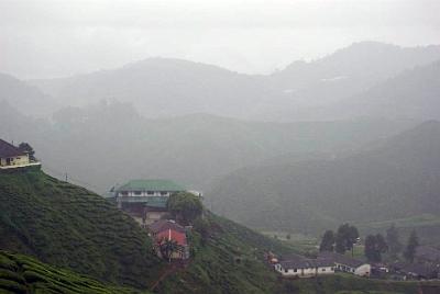 THURSDAY 16 OCTOBER 2008  Rain falling in the Boh tea plantation.  I loved it. What an image burned into my memory.