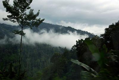 THURSDAY 16 OCTOBER 2008  On our return, clouds started to form in the valleys.