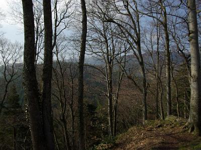 Saturday 2009-04-04 &nbsp;&nbsp;&nbsp;  Wangenbourg Castle  The castle has panoramic views of the Vosges.