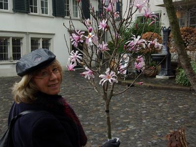 Wednesday 2009-03-25 &nbsp;&nbsp;Zurich Switzerland  We did not expect to see flowers at this time of year. The peach yes, the flowers no.