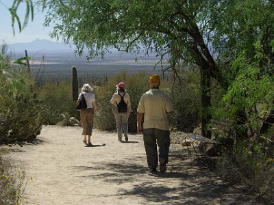 Sunday 2009-03-22&nbsp;&nbsp;   Arizona-Sonora Desert Museum  We're walking  down a corridor of Mesquite and Prickly Pear towards the Raptor live show.