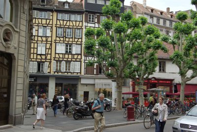 Monday 14 June, 2010  The trees look wierd. Each branch has been lopped even though there are no overhead power or communication lines. It's difficult to see that this was done for aesthetic reasons. : 2010-06-14 Strasbourg