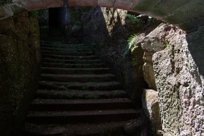 Wednesday 7 July, 2010 &nbsp;   The stairs were covered with moss. : 2010-07-02 JGR EAGLES NEST