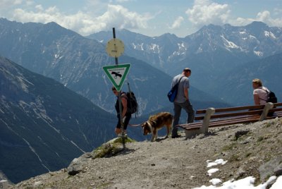 Friday 25  June, 2010  What if the dog jumped up and snatched an eagle out of the air? Valleys filled with dead eagles? : 2010-06-25 Mittenvald