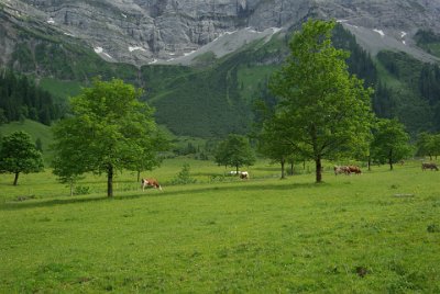 Friday 25  June, 2010  On the way back, I notice that my ankle is starting to hurt again. But what a wonderous, beautiful place this is. : 2010-06-25 Mittenvald