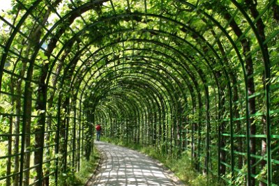 Thursday 1 July, 2010  We walk up hill to the Grotto of Venus via a vine-covered walkway. : 2010-07-01 partnach canyon