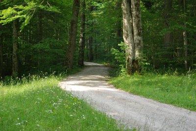 Thursday 1 July, 2010  We head for the tea house expecting that we should be able to get a cup of tea there. We travel along this gravel road to get there. : 2010-07-01 partnach-lindenberg