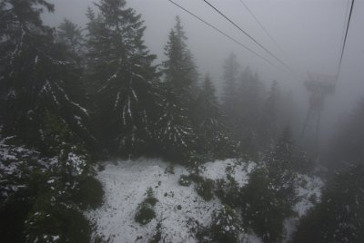 Sunday 20 June, 2010  Snow. There is snow on the trees. This cannot be right, it is summer! : 2010-06-20 mittenwald