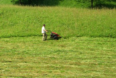 Thursday 1 July, 2010  Making hay while the sun shines. : 2010-07-01 partnach-lindenberg